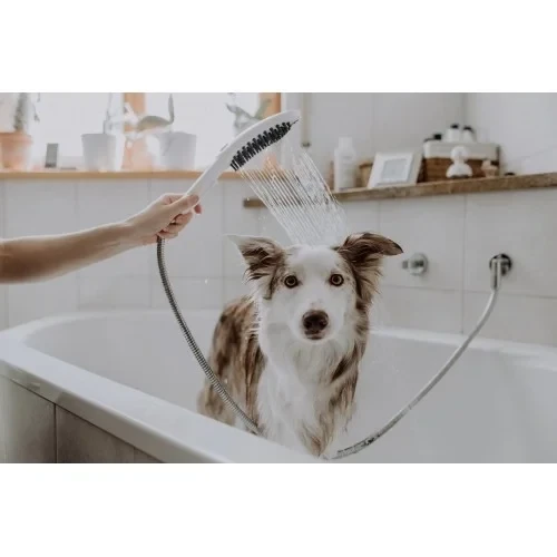 Ручной душ, голубой Hansgrohe DogShower 26640540