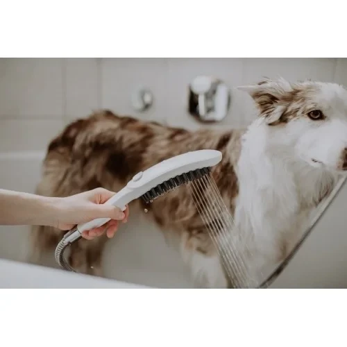 Ручной душ, голубой Hansgrohe DogShower 26640540