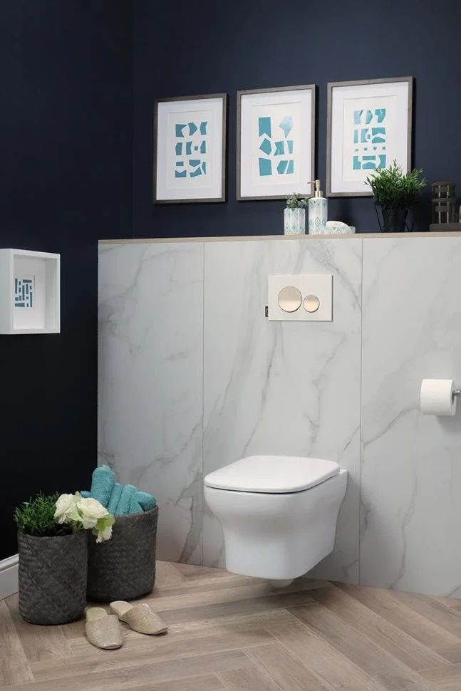 Комплект 2в1: Унитаз EDM102-00 с крышкой-сиденьем E20142-00 Jacob Delafon Vox (80-20) K23070401