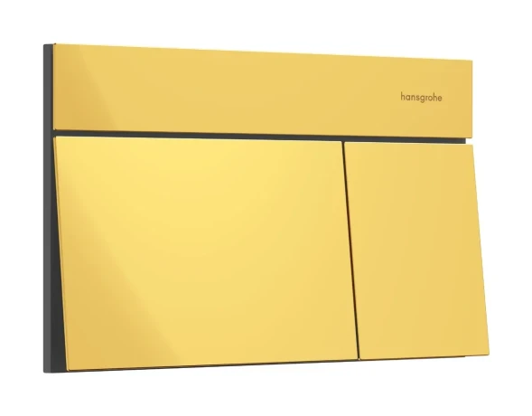 Панель смыва, золото Hansgrohe iFrame Element E 66003990