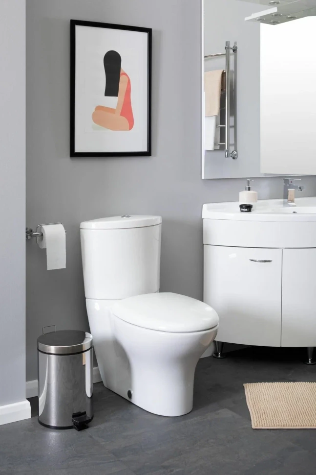 Унитаз напольный, с крышкой-сиденьем, белый Jacob Delafon Presquile 19077-00