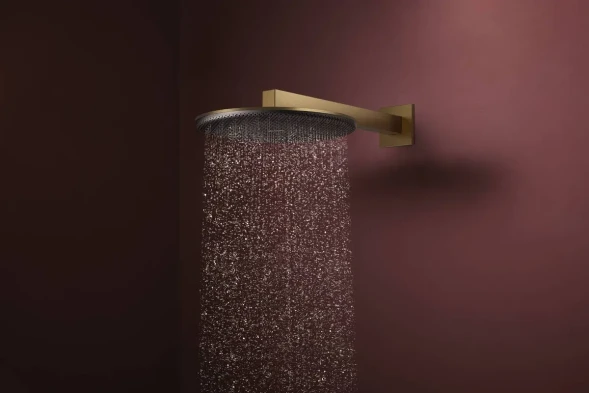 Верхний душ 300, бронза Hansgrohe Raindance Alive S 300 1jet 24520140