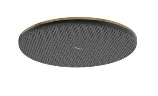 Верхний душ 300, бронза Hansgrohe Raindance Alive S 300 1jet 24523140