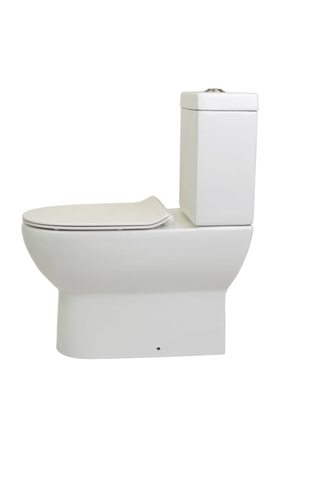 BR1002R Чаша напольная безободковая HDC639P