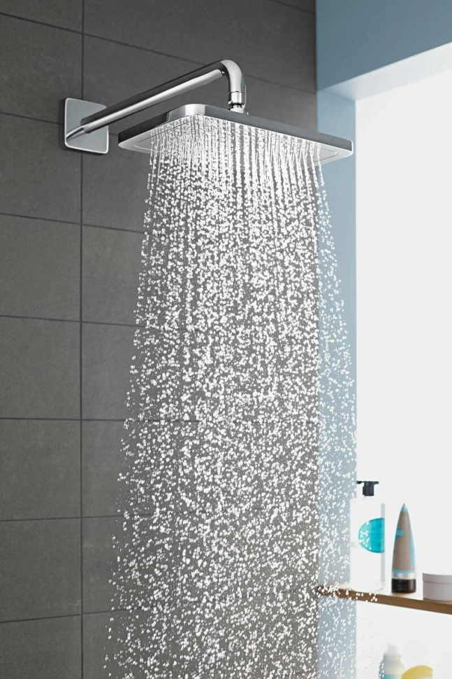 Держатель для душа настенный 389, хром Hansgrohe 27446000
