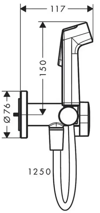 Гигиенический душ с держателем и шлангом 1250, золото Hansgrohe 29232990