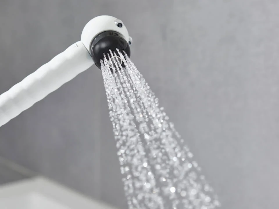 Ручной душ, бежевый Hansgrohe Jocolino 2jet Lion 28760210